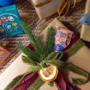 Seed Pops - Pollinator