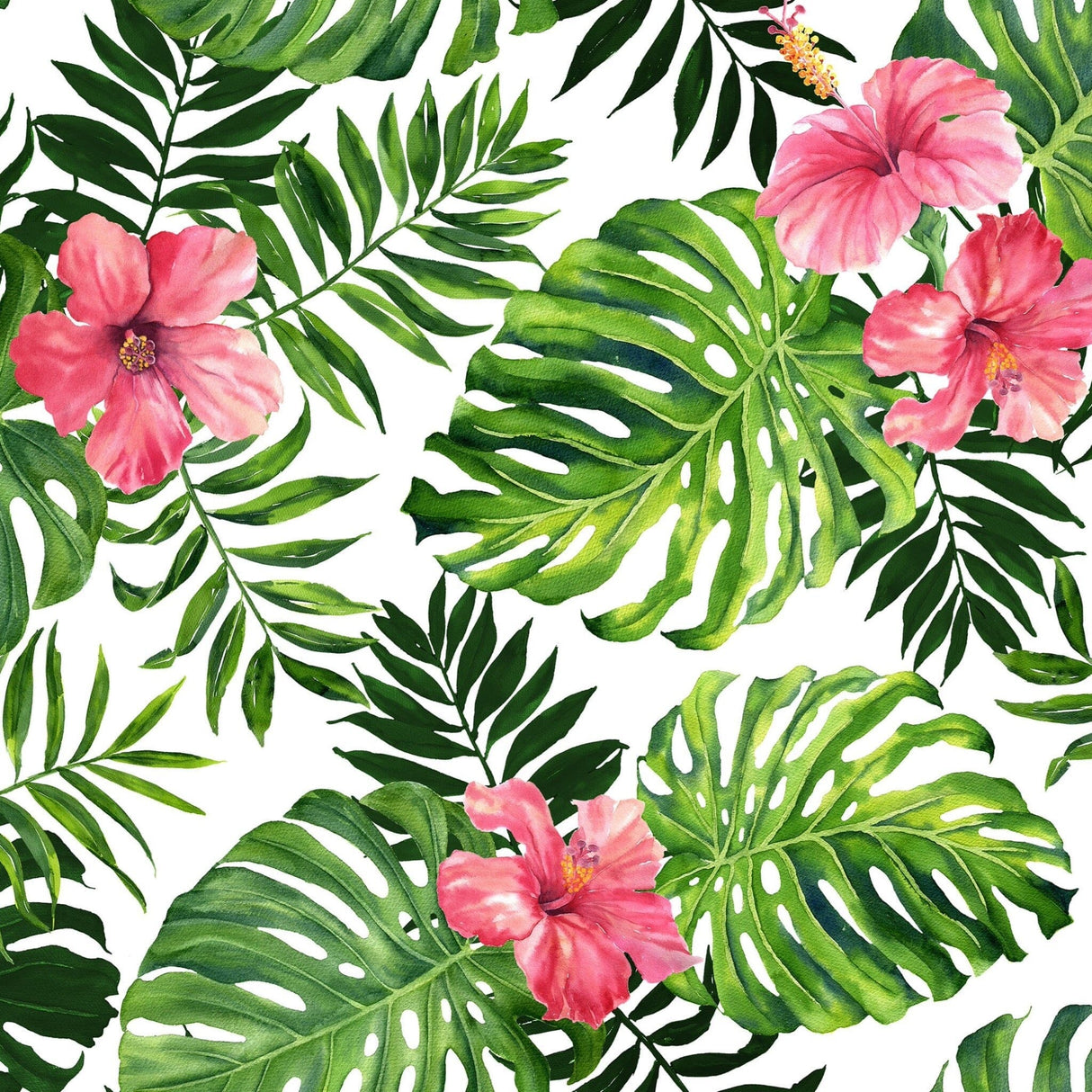 Pink Hibiscus Flower Wallpaper