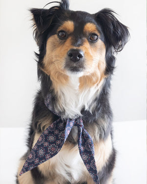 CLASSIC NECKTIE