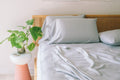 TENCEL™ Sheet Set + Pillowcases