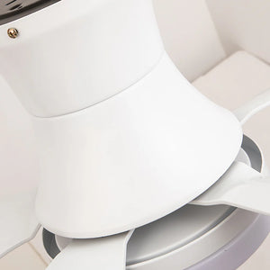 Nordic Blade Black Ceiling Fan Light