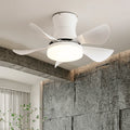 Nordic Blade Black Ceiling Fan Light