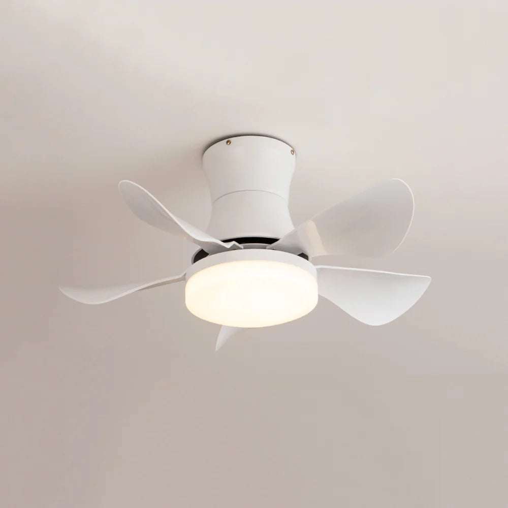 Nordic Blade Black Ceiling Fan Light