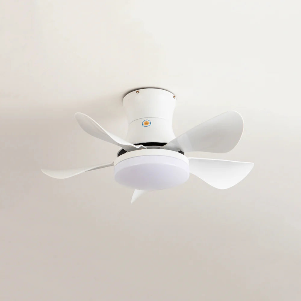 Nordic Blade Black Ceiling Fan Light