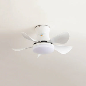 Nordic Blade Black Ceiling Fan Light