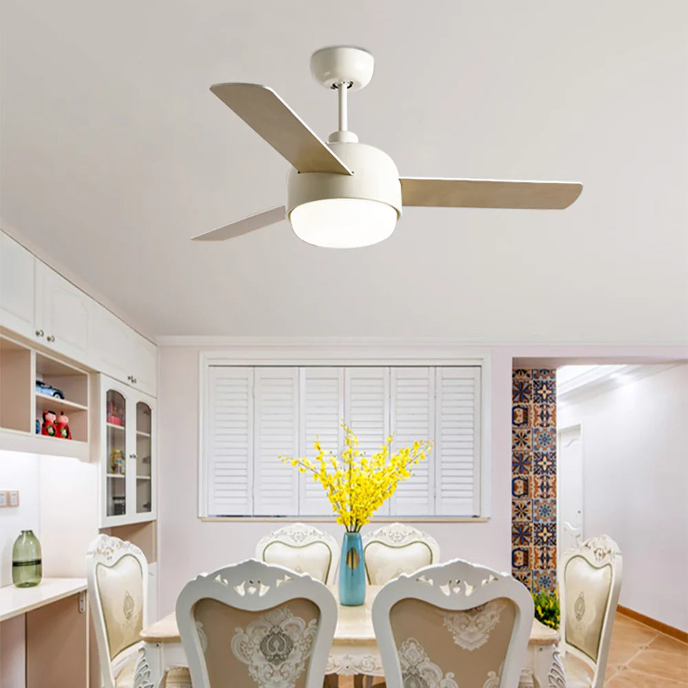 Nordic Macaron Dome Ceiling Fan Light