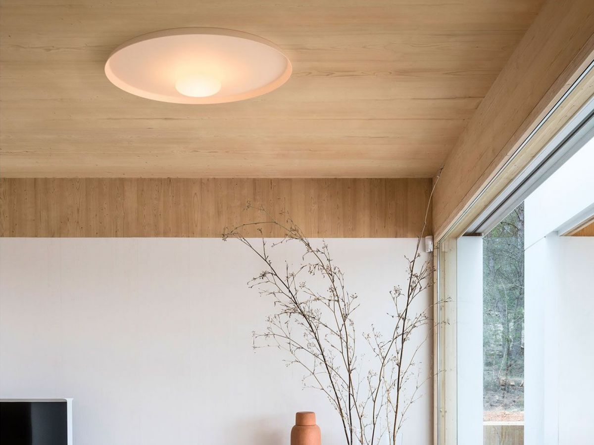 OLEV Overfly Plus Ceiling  Light