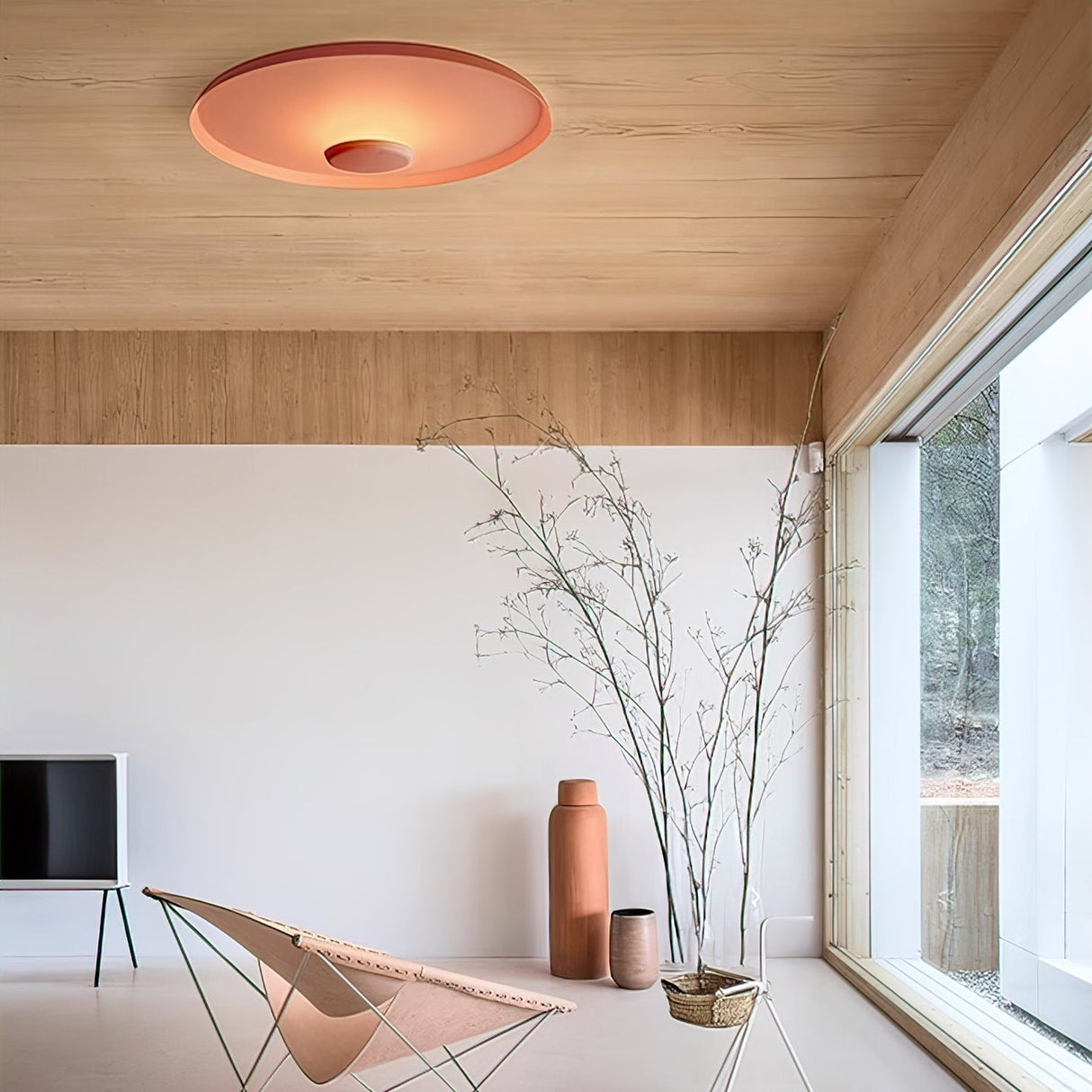 OLEV Overfly Plus Ceiling  Light