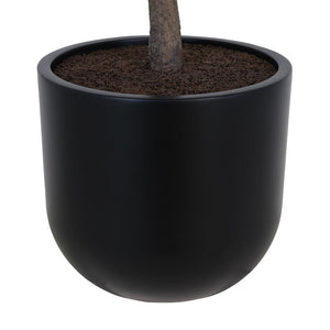 6.5' Faux Potted Olive Tree