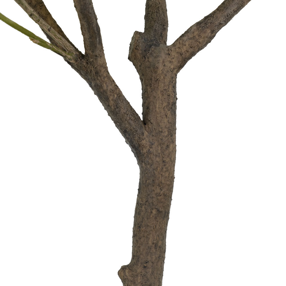 6.5' Faux Potted Olive Tree