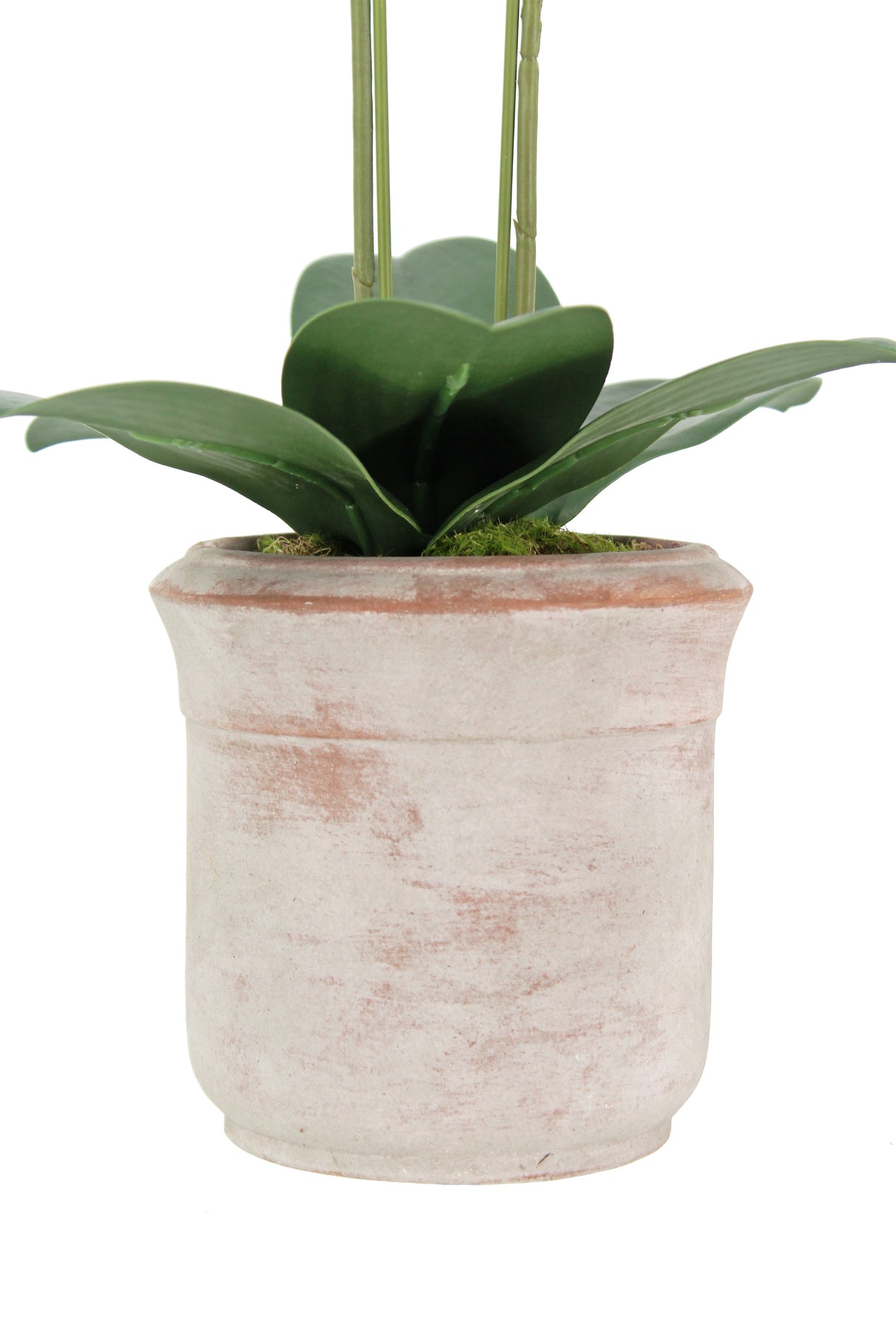 Artificial 2-Stem Phalaenopsis White Orchid
