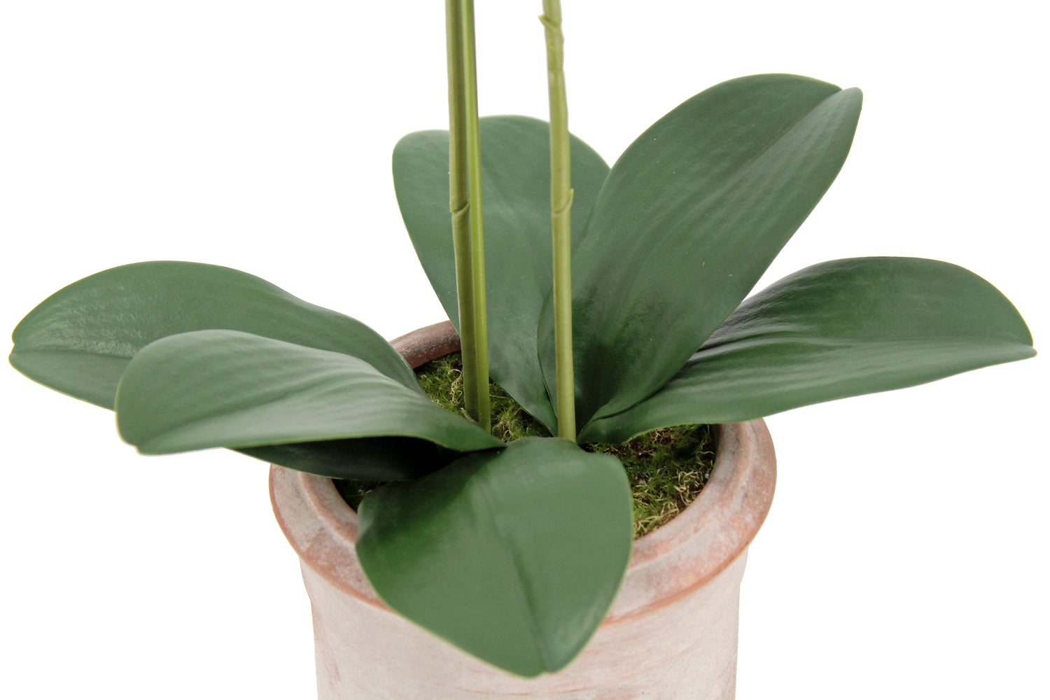 Artificial 2-Stem Phalaenopsis Pink Orchid