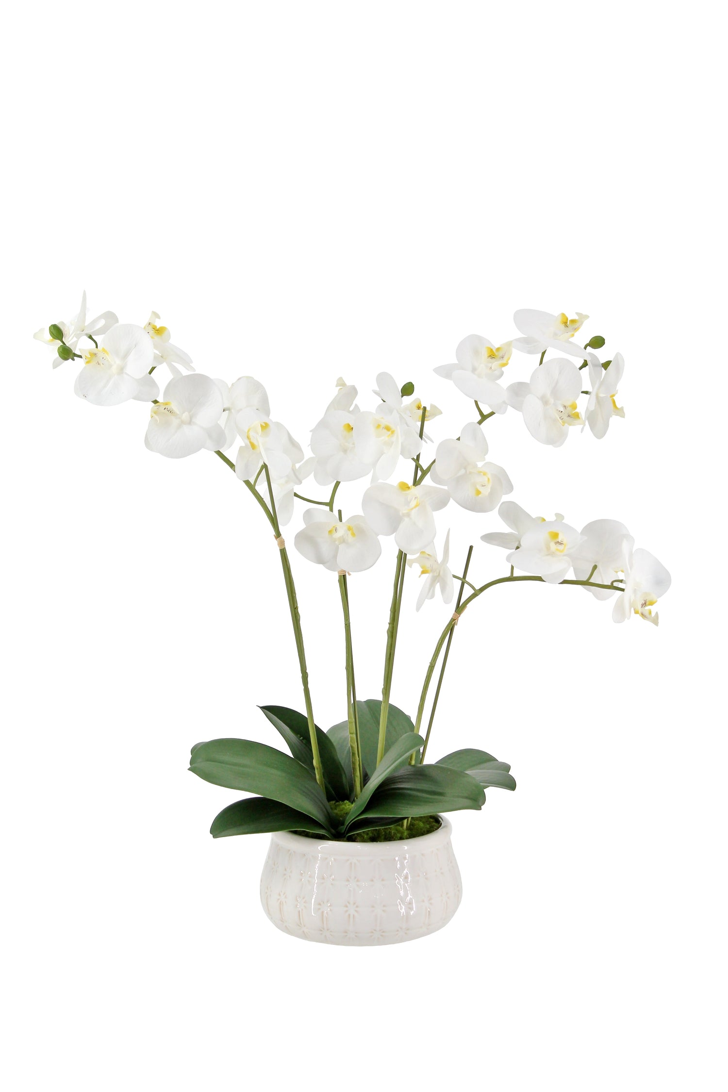 Artificial 4-Stem Phalaenopsis White Orchid