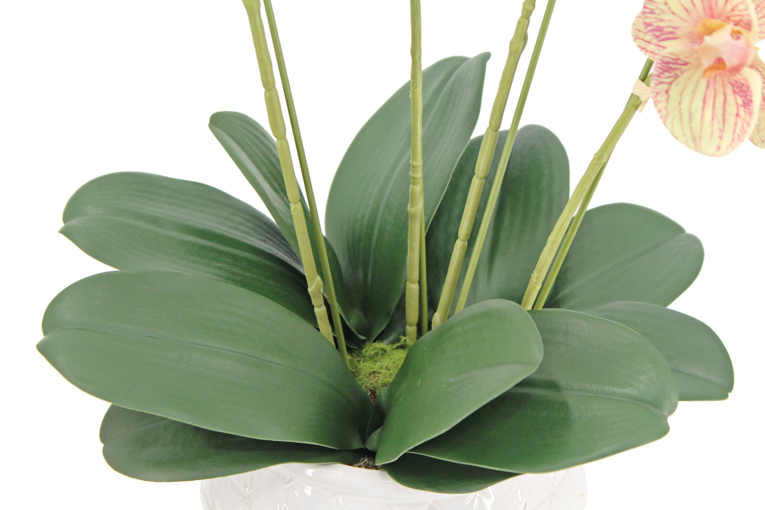 Artificial 4-Stem Phalaenopsis Orange Orchid