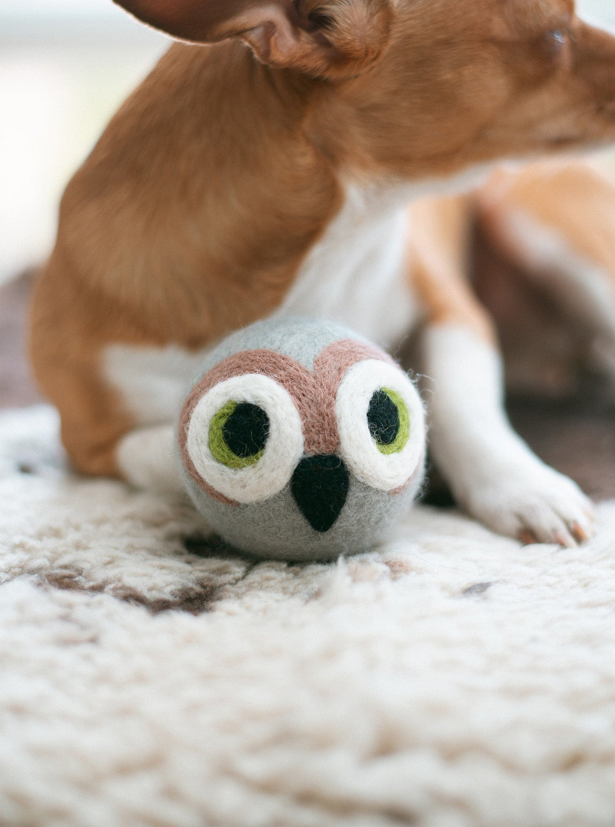 WISE OLD OWL BEASTBALL