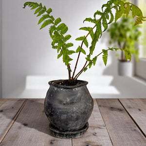 Odyssey Planter with Dish and Drainage Hole, Cement Pot in Weathered Black, 6"D x 6.5"H