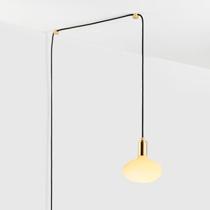 Oval Dim to Warm Plug-In Pendant in Brass
