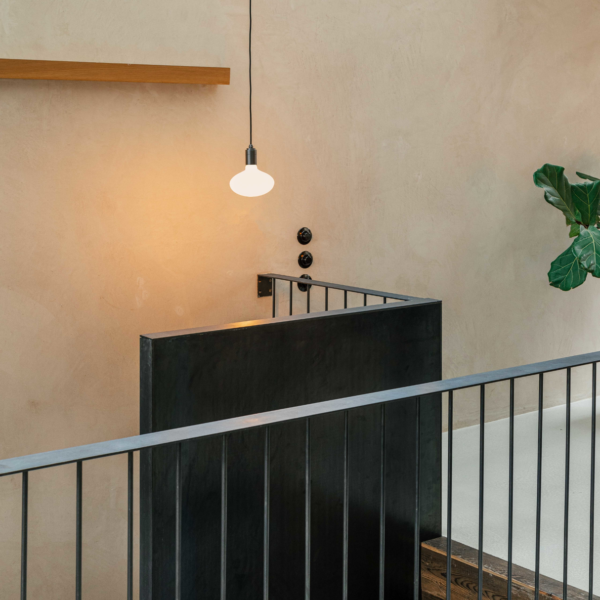 Oval E26 Dim-to-Warm LED Bulb