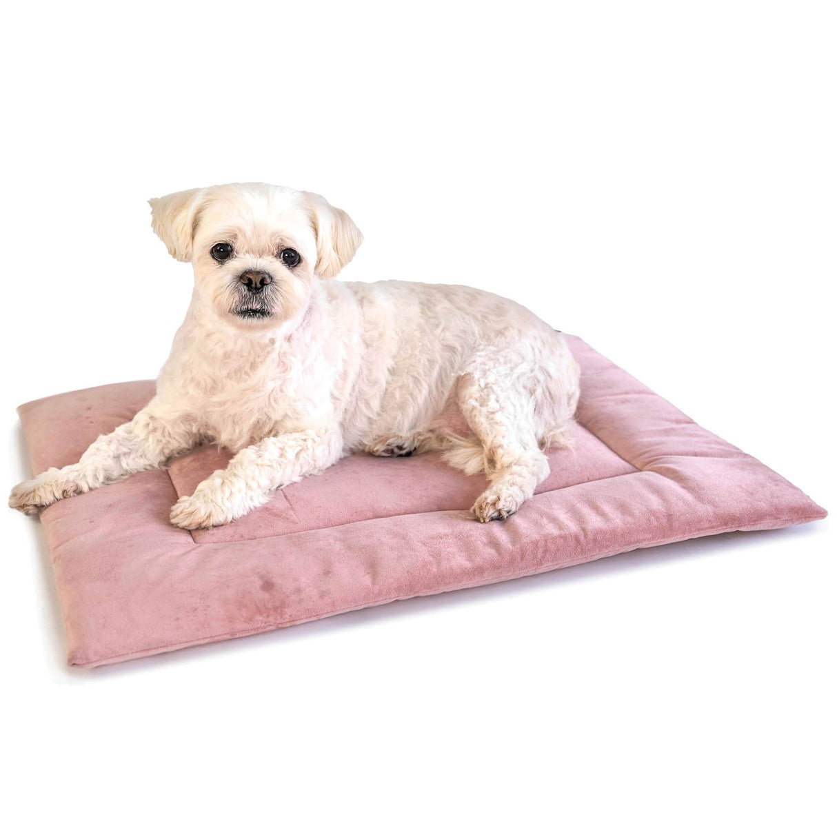 PAWD Crate Pad & Dog bed