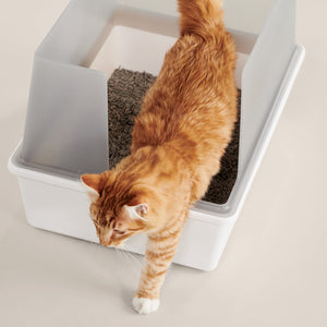 Cubby Litter Box