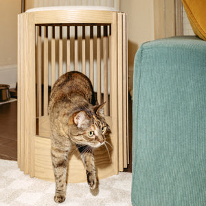 Grove Cat Tower