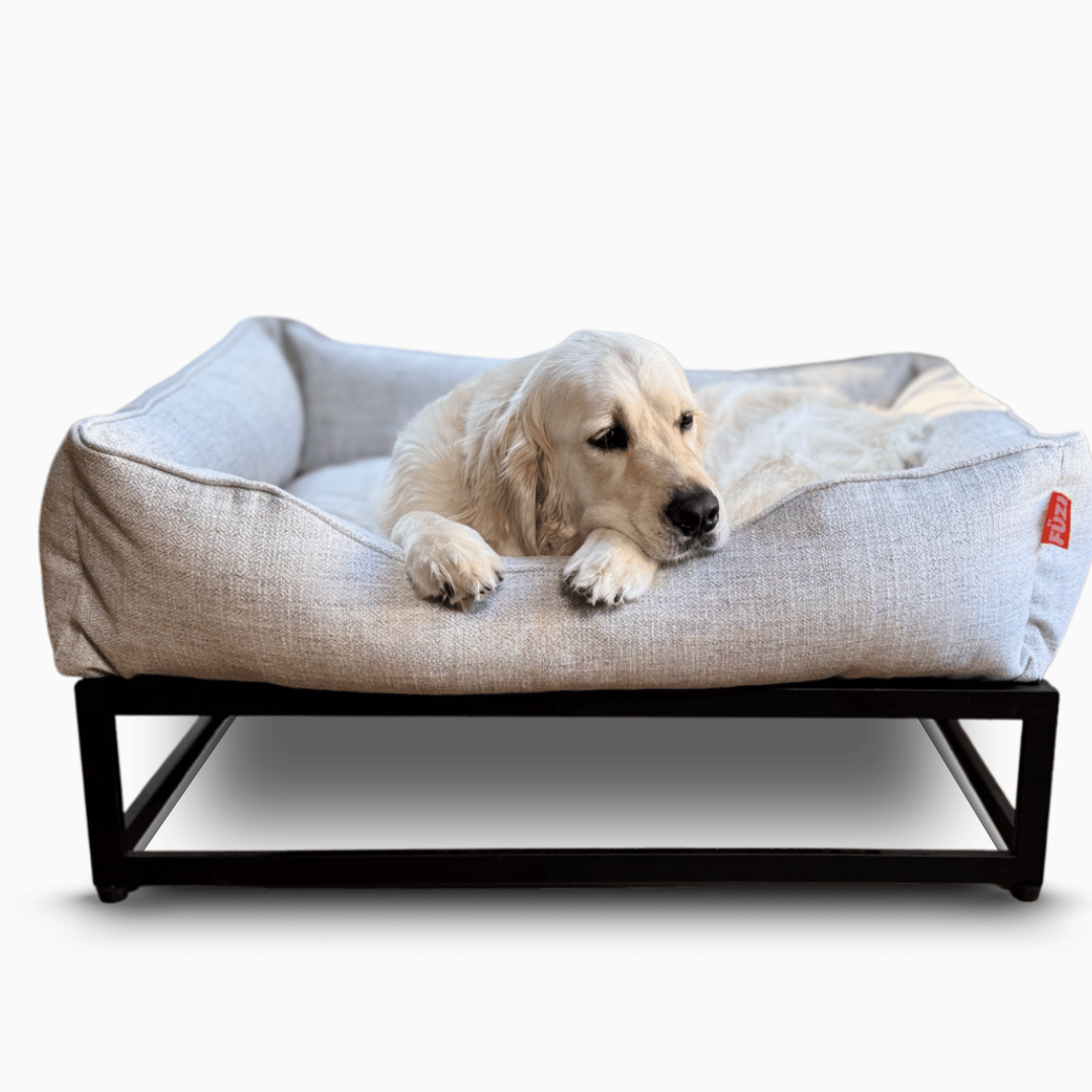 The FÜZI Elevated Dog Bed