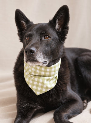 GINGHAM BANDANA