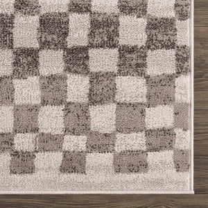 Benjy Beige Checkered Area Rug