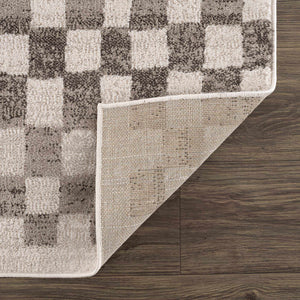 Benjy Beige Checkered Area Rug