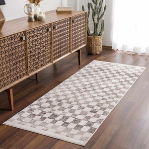 Benjy Beige Checkered Area Rug