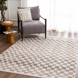 Benjy Beige Checkered Area Rug