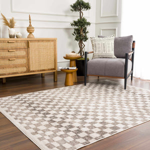 Benjy Beige Checkered Area Rug