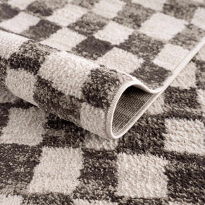 Benjy Cream & Charcoal Checkered Area Rug