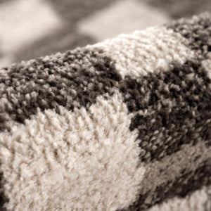 Benjy Cream & Charcoal Checkered Area Rug