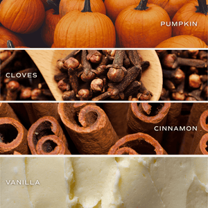 Pumpkin Spice Tinted Glass Jar Reed Diffuser