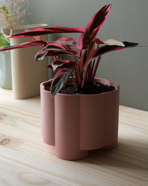 Pillar Planter