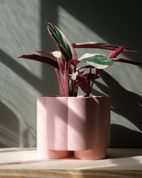 Pillar Planter