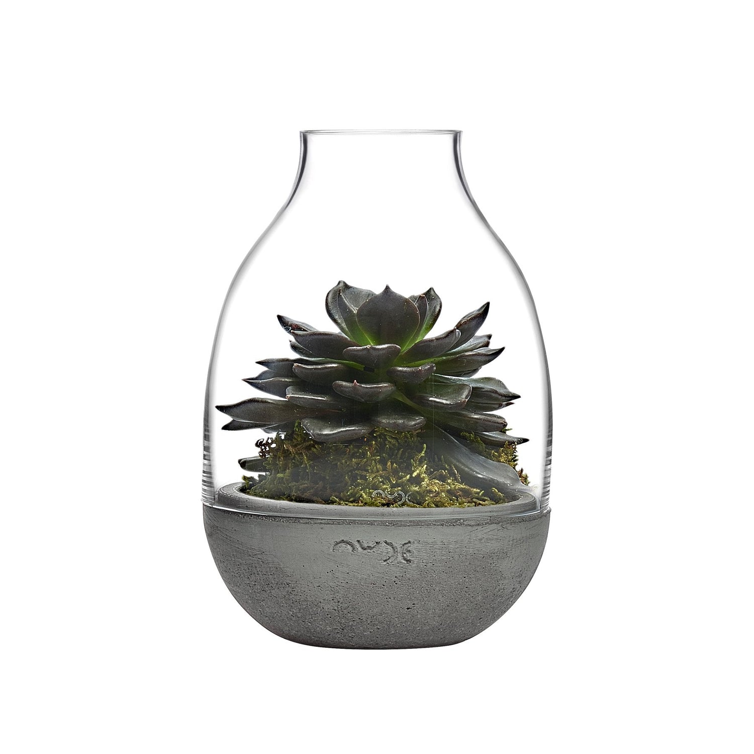 Eden Mini Terrarium Clear with Moulded Concrete Base