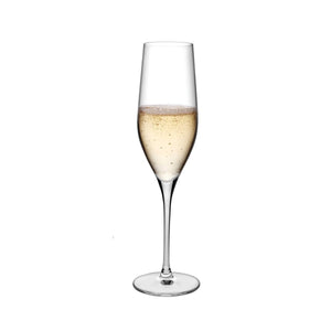 Vinifera Set of 2 Champagne Glasses
