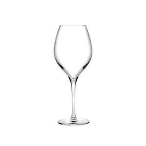Vinifera Set of 2 Red Wine Glasses 450 cc