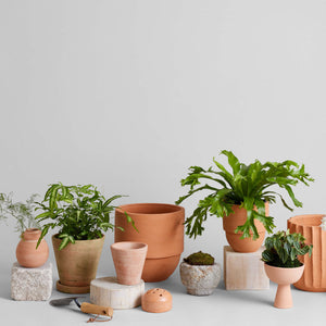 Big Cuff Planter
