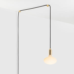Oval Dim to Warm Plug-In Pendant in Brass