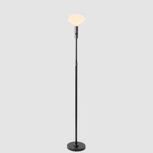 Poise Adjustable Floor Lamp in Graphite + Oval II