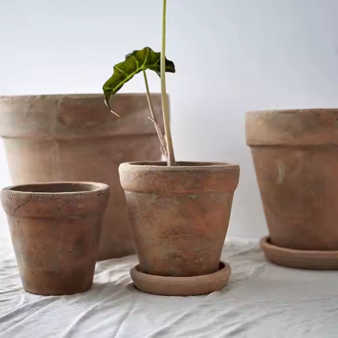 Venice Cement Planter with Dish and Drainage Hole, Handcrafted in Aged Terracotta, Medium & Large