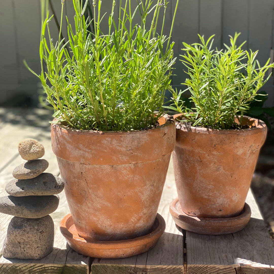 Venice Cement Planter with Dish and Drainage Hole, Handcrafted in Aged Terracotta, Large & Medium