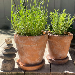Venice Cement Planter with Dish and Drainage Hole, Handcrafted in Aged Terracotta, Large & Medium