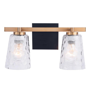 Radiance Modern 2-Light Dimmable Vanity Light