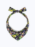 RAINBOW BANDANAS