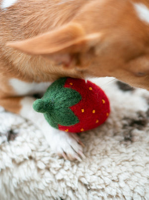 DOGGY STRAWBERRY