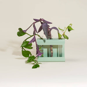 Propagation Station